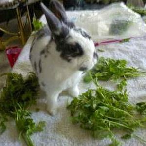 Meet your Posher, Mark